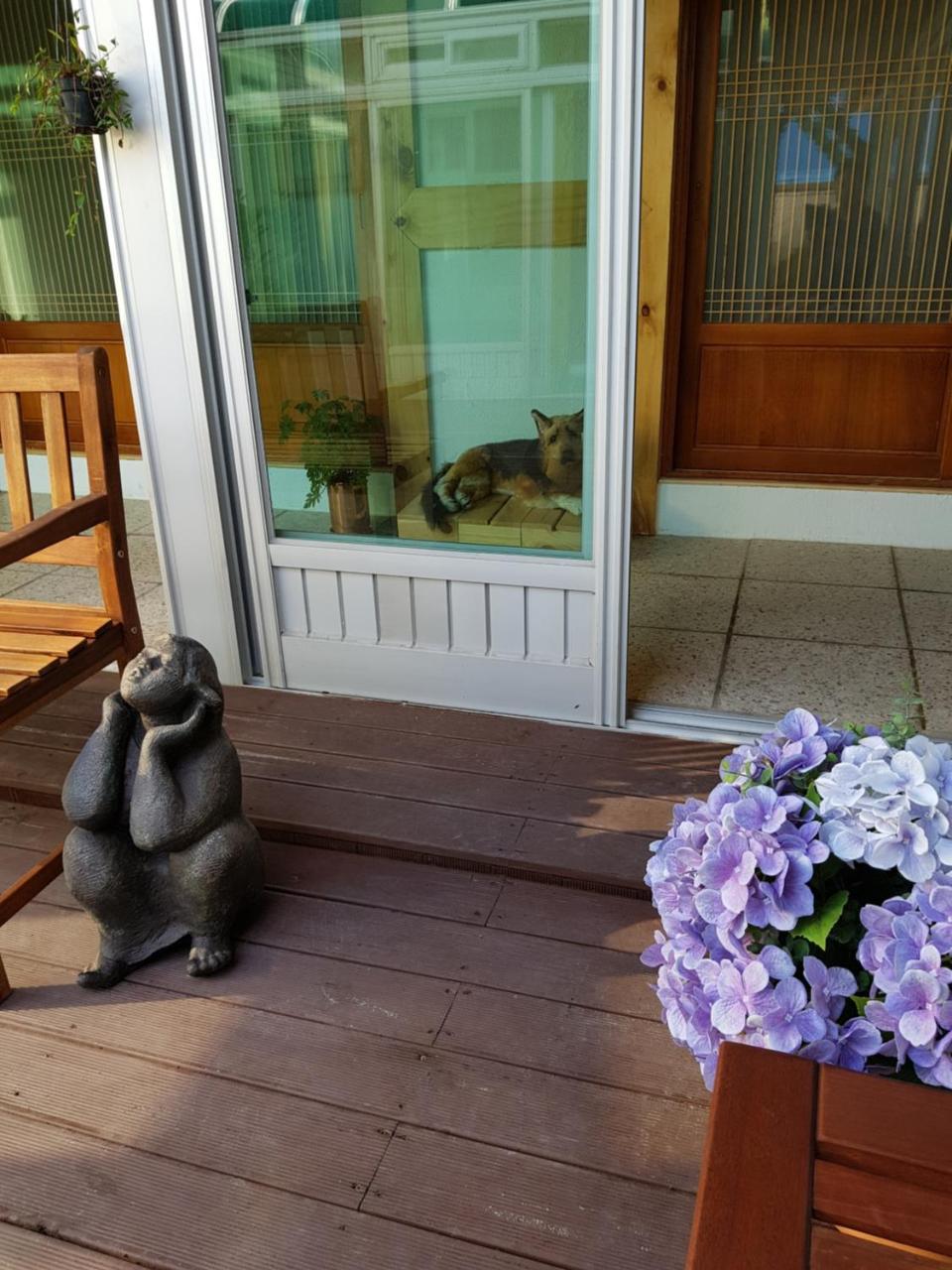 Dal Garam Guesthouse Gangneung Luaran gambar